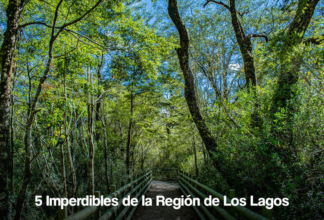 5 Imperdibles de la Región de Los Lagos