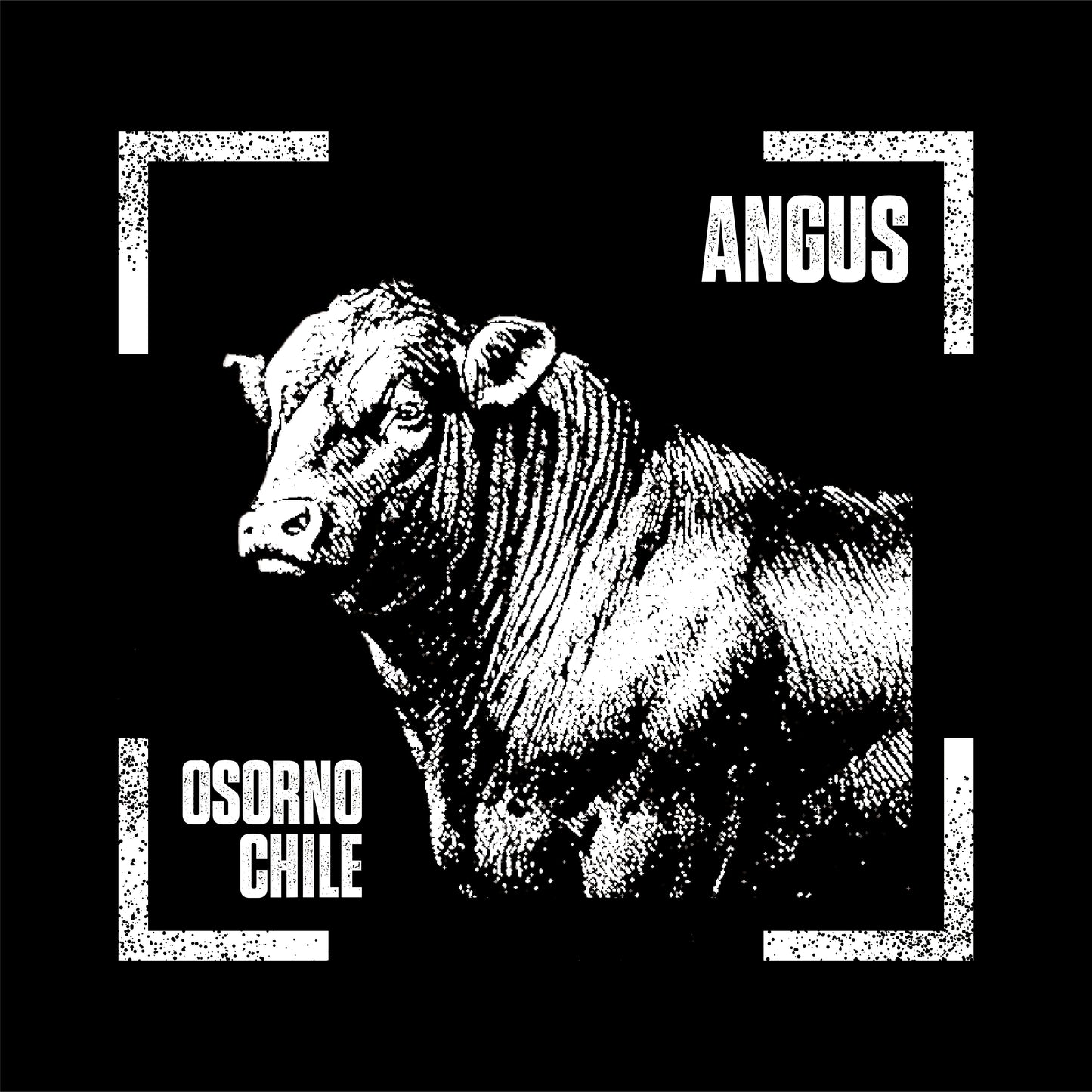 Polera Negra Angus